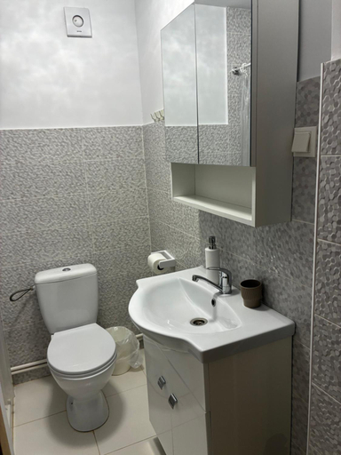 3, Casa Egreta Alba, Murighiol