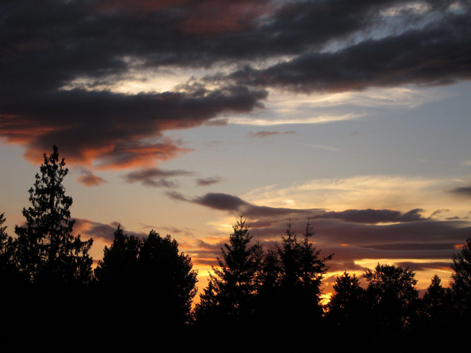 5, FairBridge Inn Arlington, Snohomish