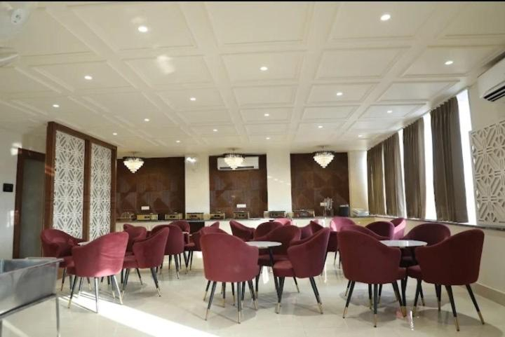 Food & Drinks, LA FALCON, Rohtak