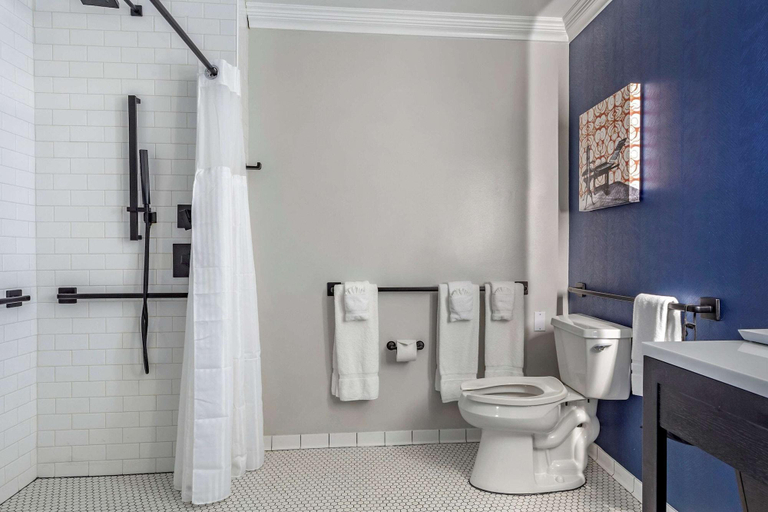 Bathroom 3, Hilton Vacation Club Hotel Blake Chicago, Cook