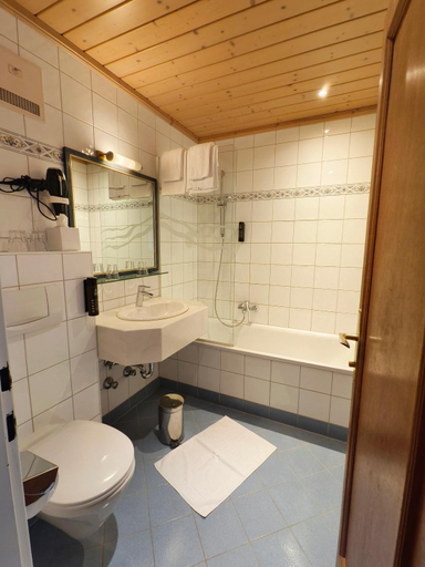 Bathroom 3, Bruckenwirt, Hallein