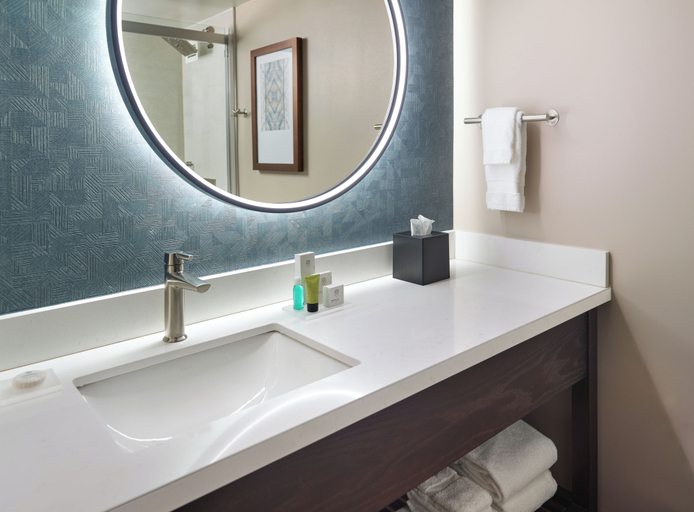 Bathroom 4, Emory Conference Center Hotel, DeKalb