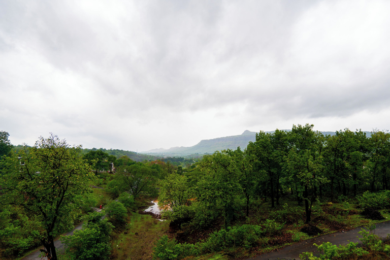 Miscellaneous 5, Alaya Stays Sreelakam 4BHK with Pvt Pool, Raigarh
