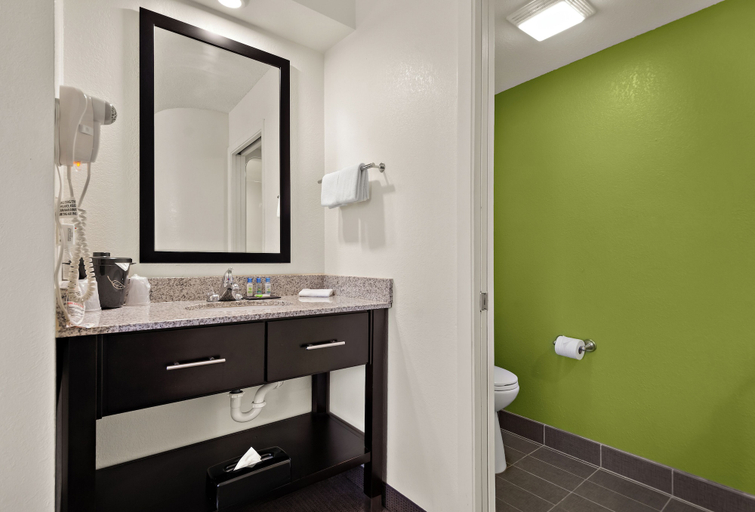 Bathroom 5, Spot X Hotel Wesley Chapel - Tampa Area, Pasco