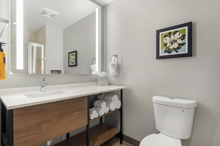 Bathroom 4, Best Western Plus Arlington/Marysville, Snohomish