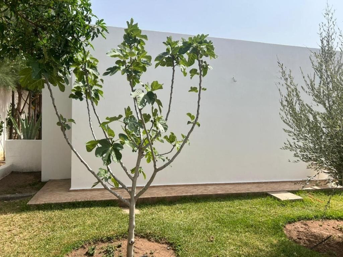 Property grounds 2, Villa Tremoulet Essaouira, Essaouira