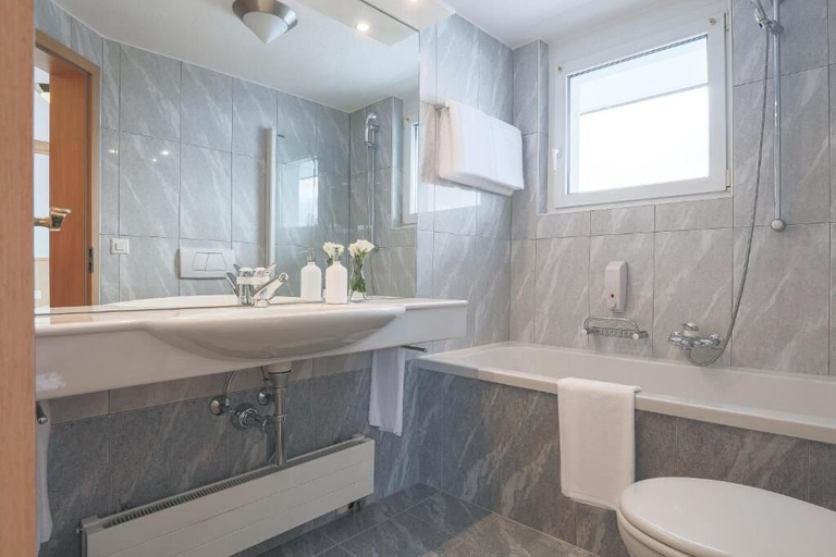 Bathroom 4, Hotel Alpin Superior, Visp