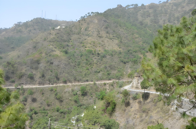 Others 5, SafarMaina Resort, Solan