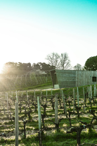 Others 5, Vineyard Cabins at Chateau Puynard, Gironde