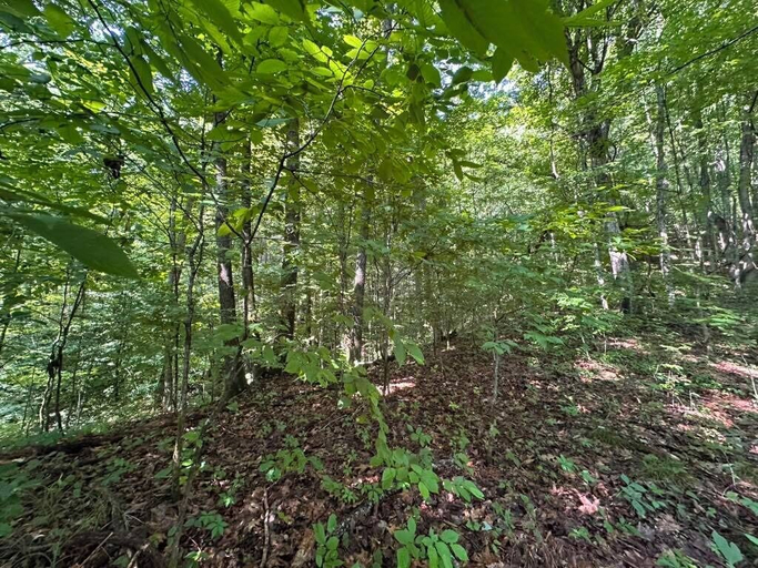 Exterior, Squatch Spot 1, Sevier