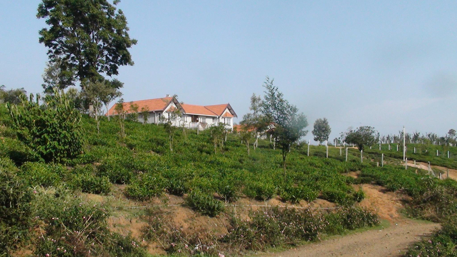 Others 5, Hotel The Ataraxia Coonoor, The Nilgiris