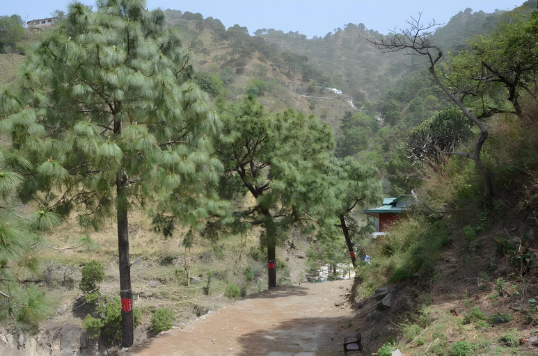 Others 4, SafarMaina Resort, Solan