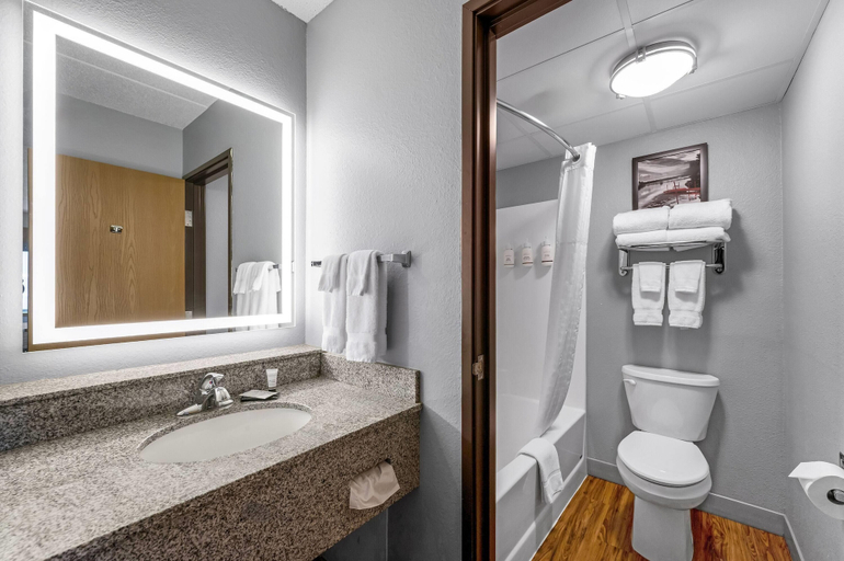 Bathroom 4, AmericInn by Wyndham Sauk Centre, Stearns