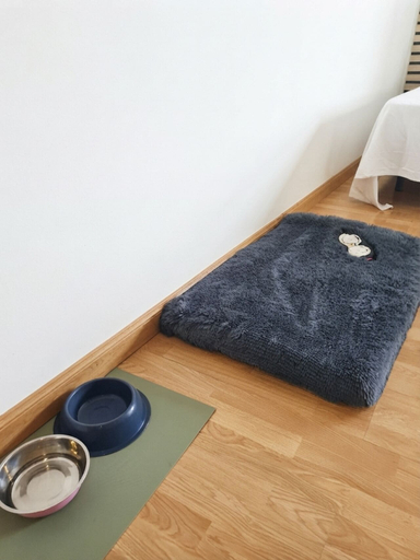 Pet-friendly, Hotel Peña Pintada, Asturias
