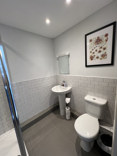 Bathroom 4, The White Horse, Essex