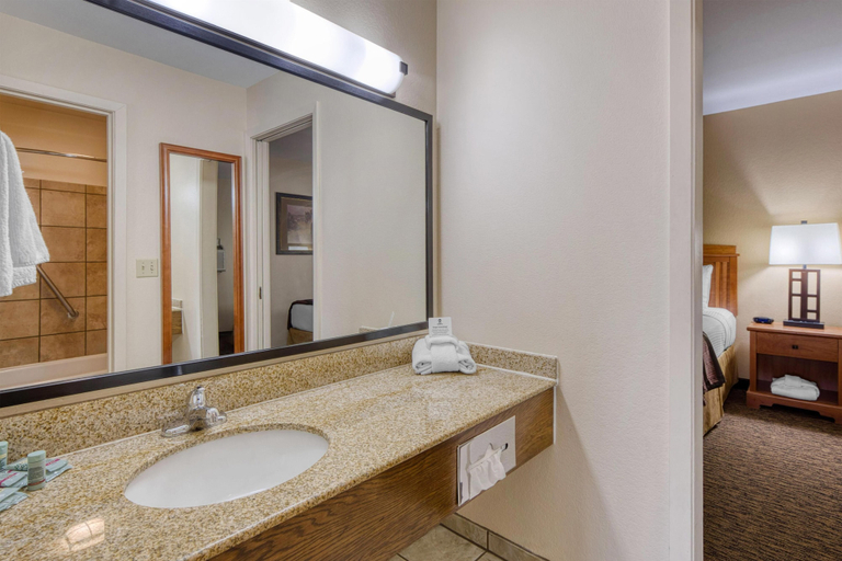 Bathroom 4, Best Western Plains Motel, Pennington
