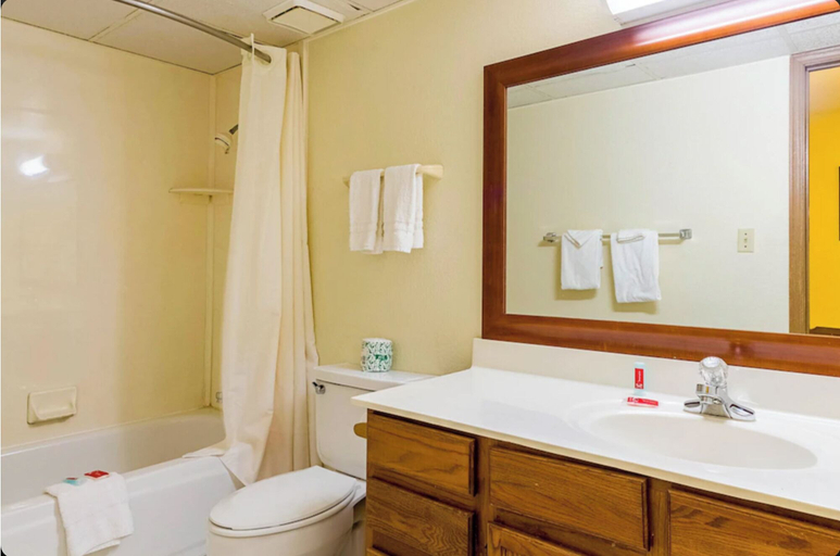 Bathroom 4, Eco Lodge Inn & Suites Bentonville near I 49, Benton