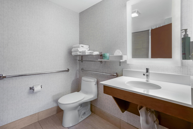 Bathroom 5, Best Western Roslyn-Long Island Hotel, Nassau