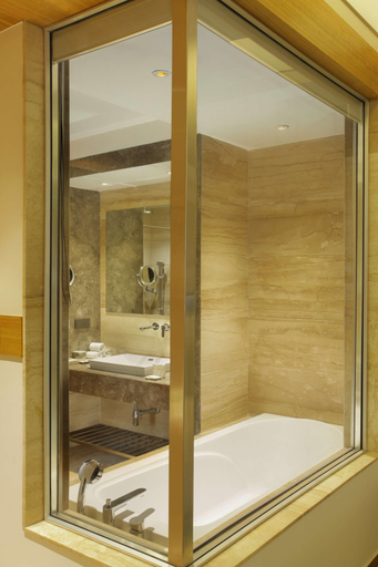 Bathroom, Radisson Blu Jammu, Jammu