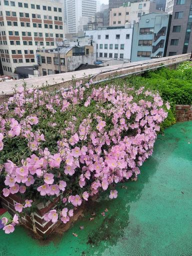 Exterior & Views 3, Star Guest House, Jung