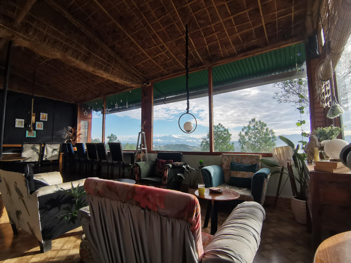 3, Stars & Pines, Almora
