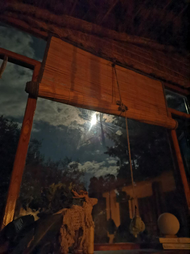5, Stars & Pines, Almora