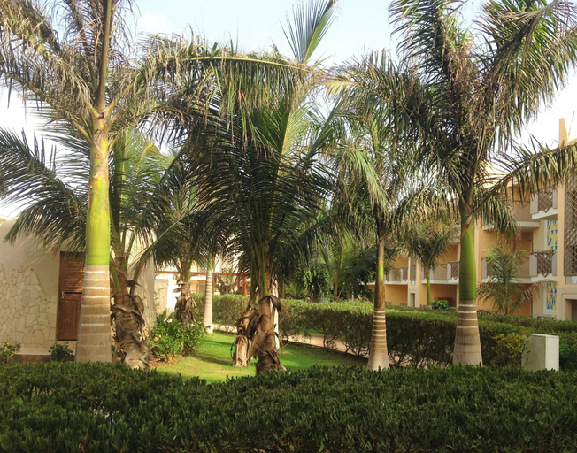 Property grounds 4, Tropical Sal Boutique Hotel