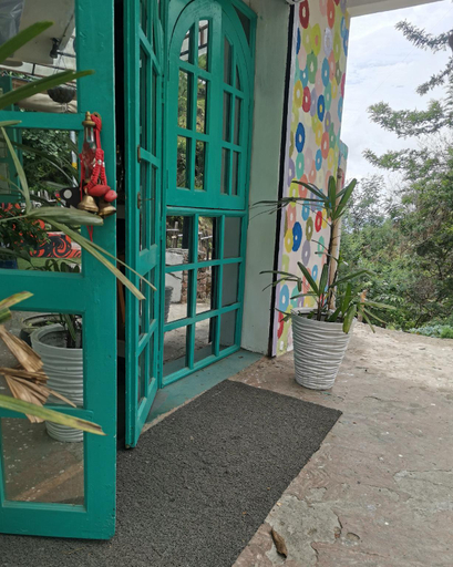 Others 5, Stars & Pines, Almora