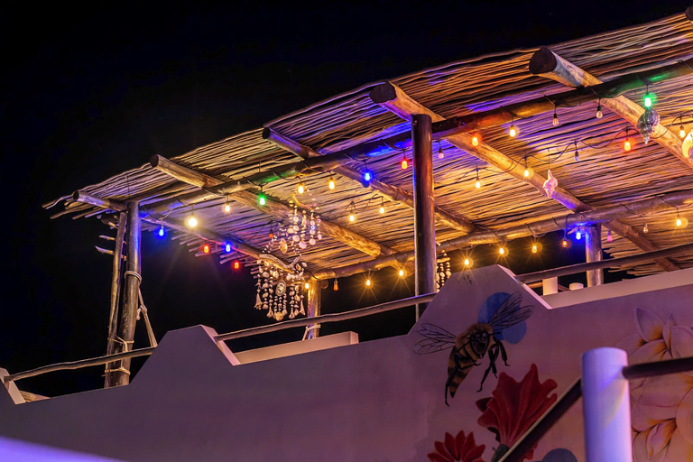 Rooftop terrace, La Casa de Jardin, Isla Mujeres