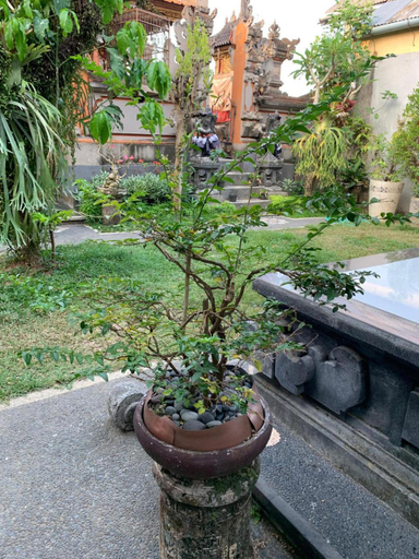 Others 4, BUCU KAJA HOUSE, Gianyar