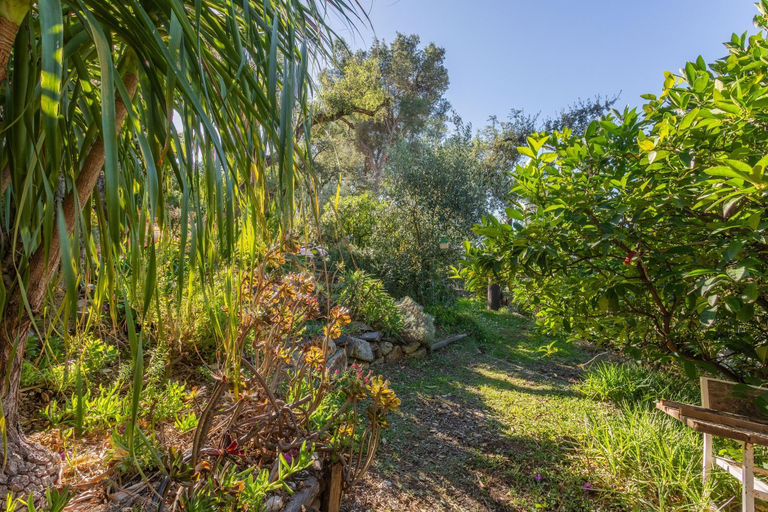 Others, Au Jardin Des Couleurs, Var
