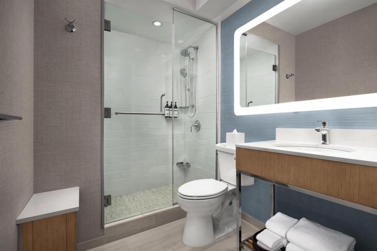 Bathroom 5, Hyatt Herald Square New York, New York