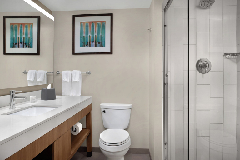Bathroom 4, Hyatt Place Orlando/Lake Buena Vista, Orange