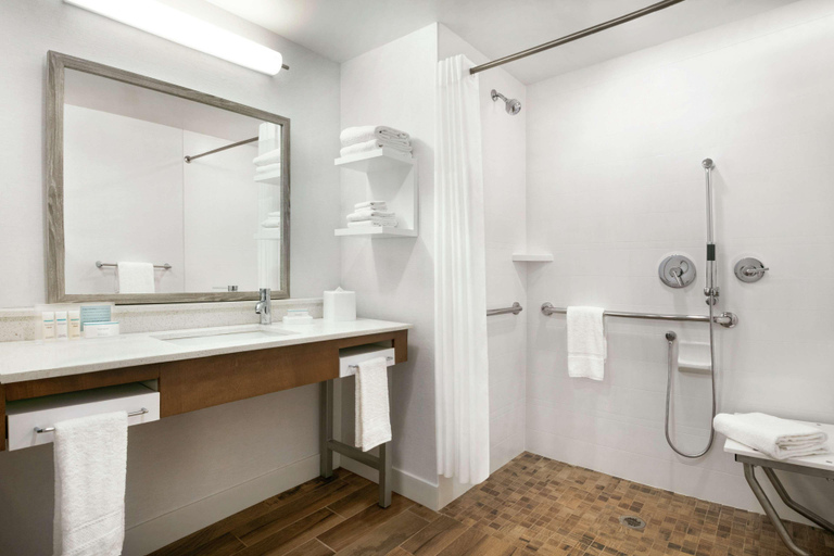 Bathroom 4, Hampton Inn & Suites Johns Creek, Fulton