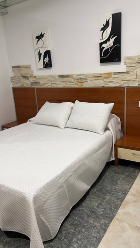 Room 4, Hotel Termas Camino Real, Ourense