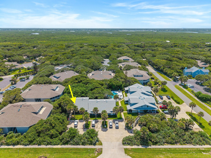 Aerial view 2, Beachy Dreams NSB, Volusia