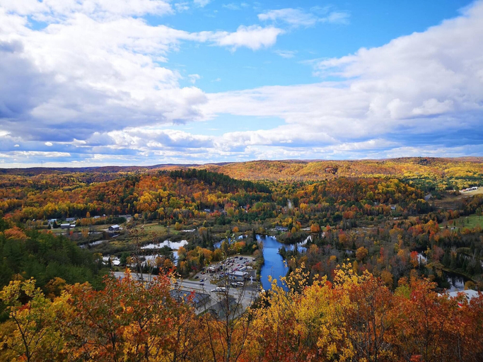 View from property 3, Room-cozy Basement Retreat in Bancroft, Hastings