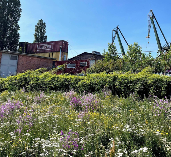 Exterior 2, LILY ART by Lily Apart, Gdańsk City