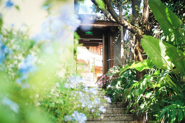 Garden 3, The Nomad Yard - Lijiang Old Town - Social Hostel for Travelers, Hikers & New Friends - EAT & DRINK, Lijiang
