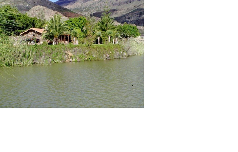 Others 5, Cozy villa in San Bartolome, 130 m², pool, Las Palmas