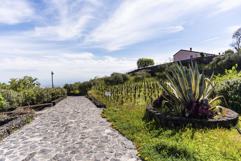Property grounds 2, Villa Etna Pool & Seaview by Wonderful Italy, Catania