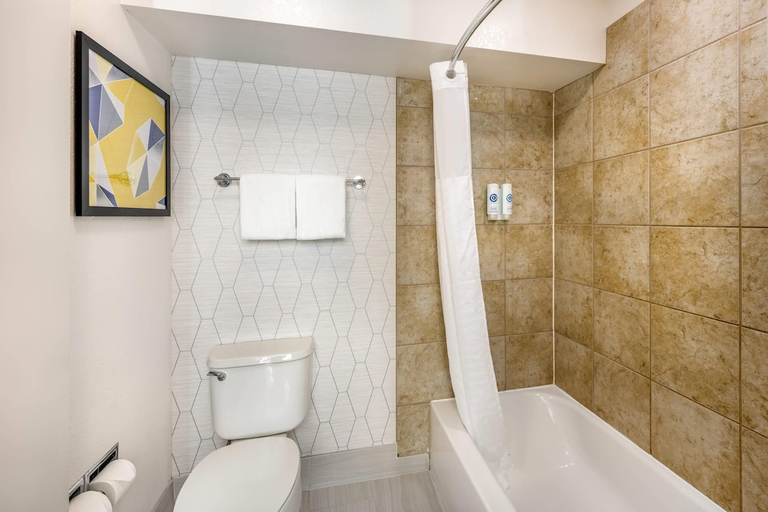 Bathroom 5, Comfort Suites Albuquerque/North Journal Center, Bernalillo