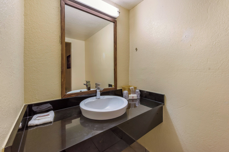 Bathroom 4, Red Roof Inn Plano, Collin