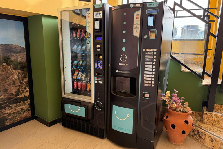 Food & Drinks, LEON DORMIDO Room & Apartments, Alicante
