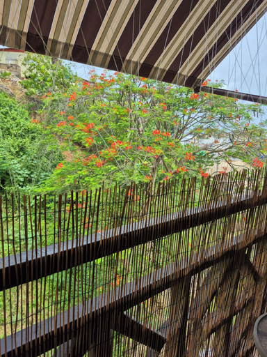 Garden, Charming 3-bedroom Apartment With Ocean and Mountain Views