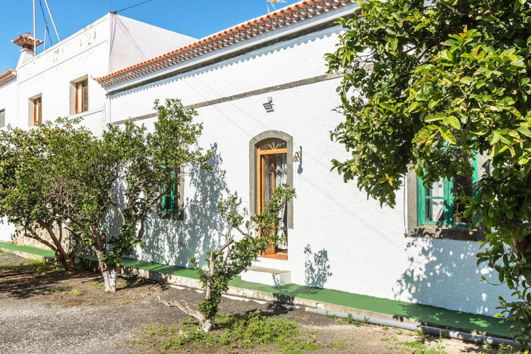 Others 4, El Huerto, Las Palmas