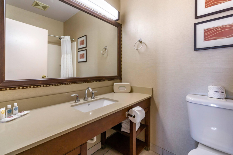 Bathroom 4, Comfort Inn & Suites Seattle North, Seattle