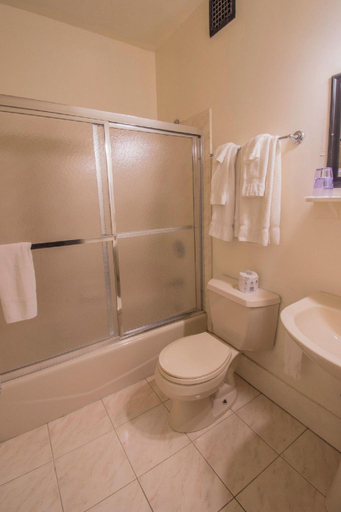 Bathroom 3, The Lincklaen House, Madison