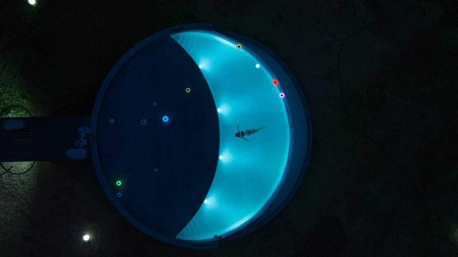 Pool, Anchaviyo Resort, Palghar