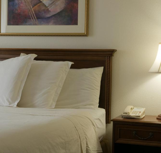 Bedroom 2, Staybridge Suites Wichita Falls by IHG, Wichita